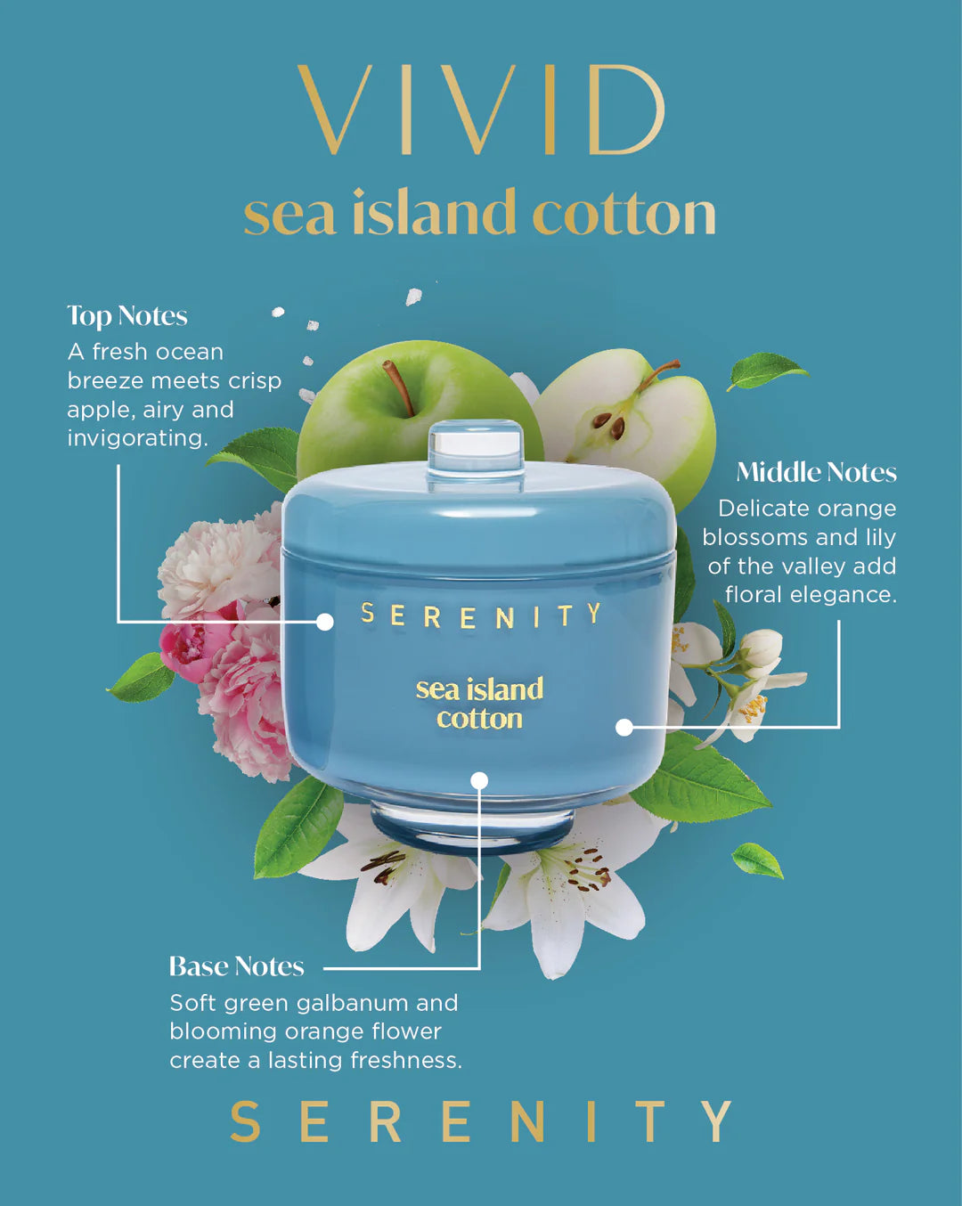 Sea Island Cotton 230g Candle